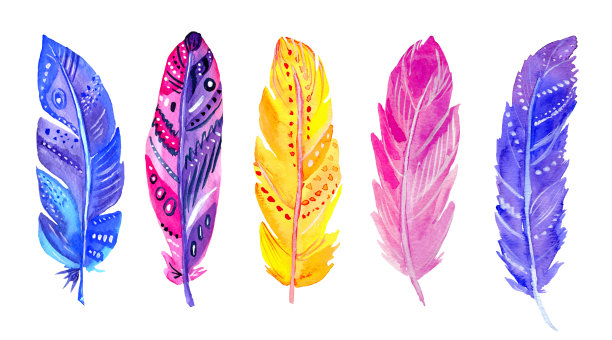 水彩紫色，蓝色，粉红色和黄色的羽毛图片下载