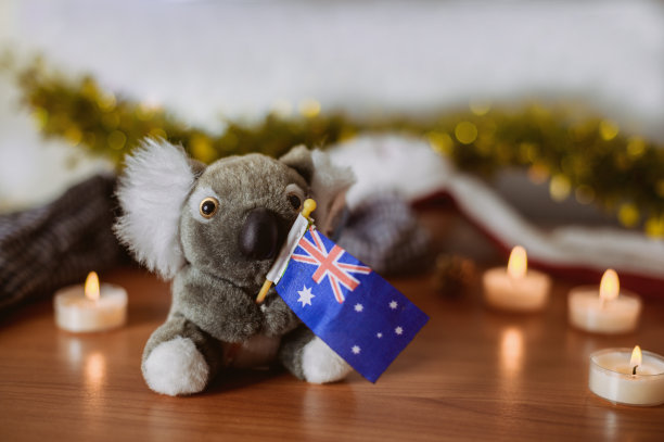 动物/野生动物图片下载