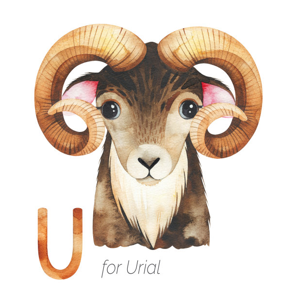 可爱的尿壶为你的字母。素材图片