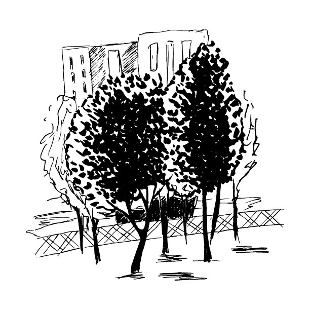 景观草图，手绘片段的城市景观与树，矢量插图孤立在白色背景图片下载