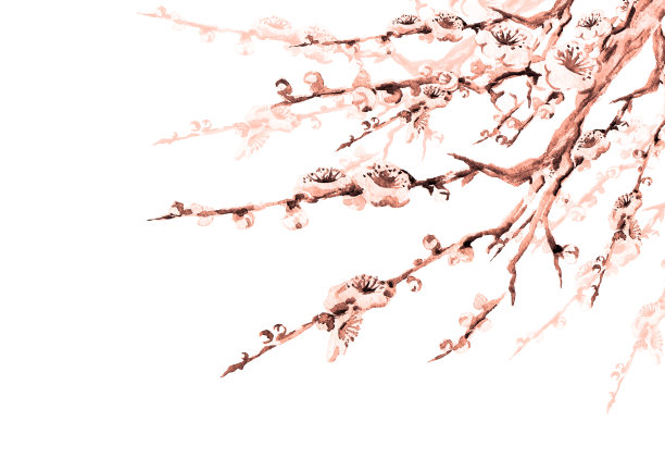 梅花插画，粉色图片下载