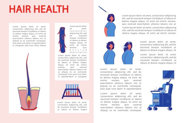 信息横幅如何保持头发健康。图片下载
