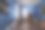 巴洛克房间卡通人物的3D渲染图片下载