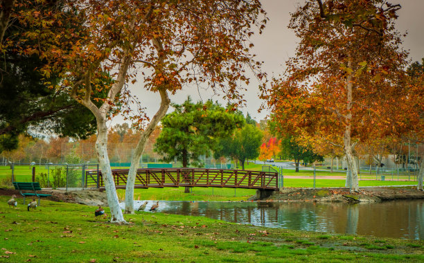 这座桥。图片下载