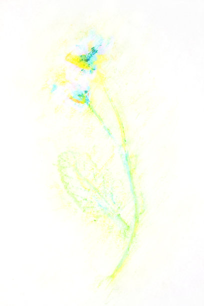 花卉手绘粉笔画。植物时尚背景与抽象的花。图片下载