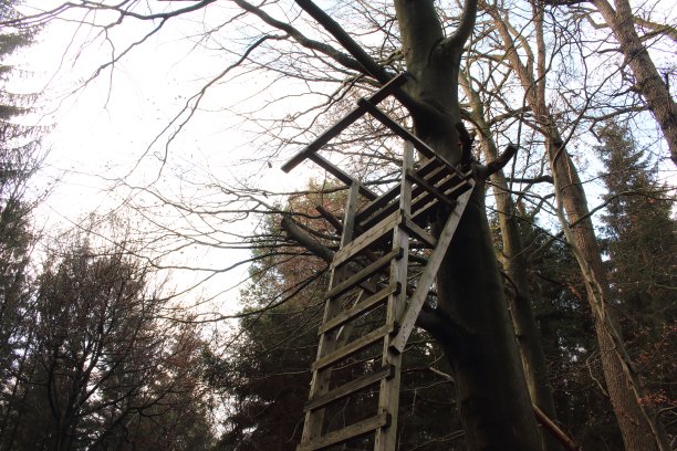 在狩猎图片下载