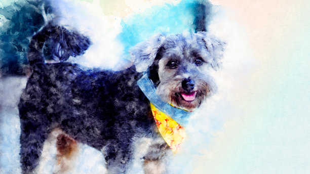 黑色混种狗与彩色手帕地板水彩画风格图片下载