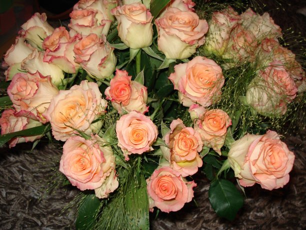 束玫瑰花。图片下载