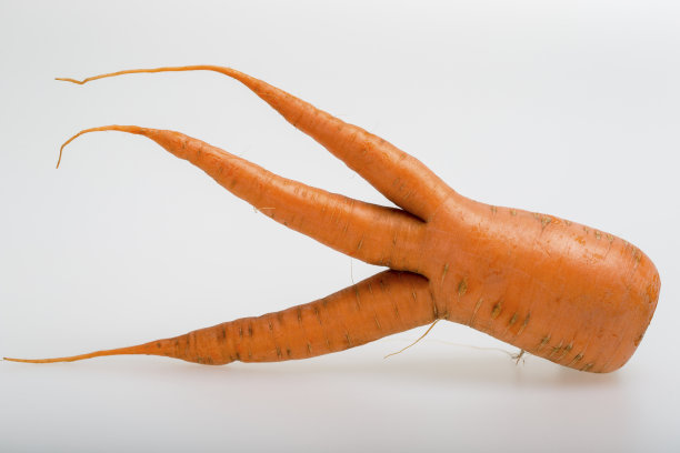 胡萝卜。图片下载