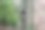 森林里的一棵树的树干是中空的图片下载