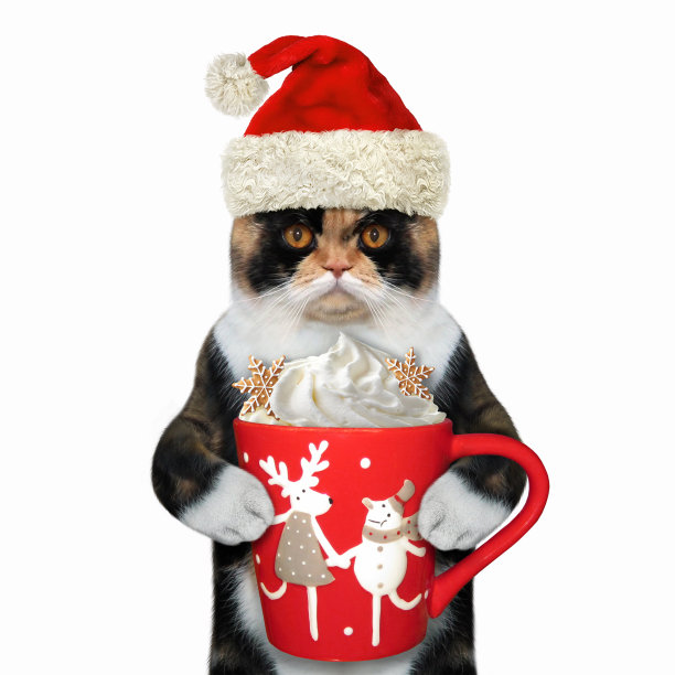 猫喝加奶油的咖啡图片下载