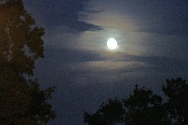 满月上升图片下载