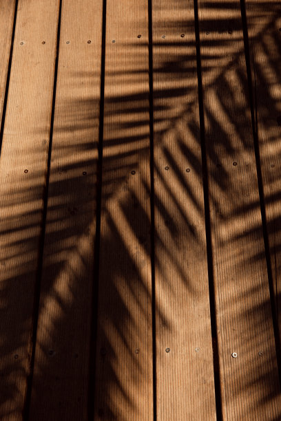 木板上的棕榈阴影。图片下载