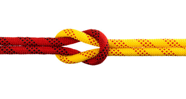 珊瑚礁结在白色的背景图片下载