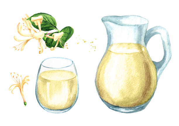 用糖浆冷饮金银花集。水彩手绘插图孤立的白色背景图片下载