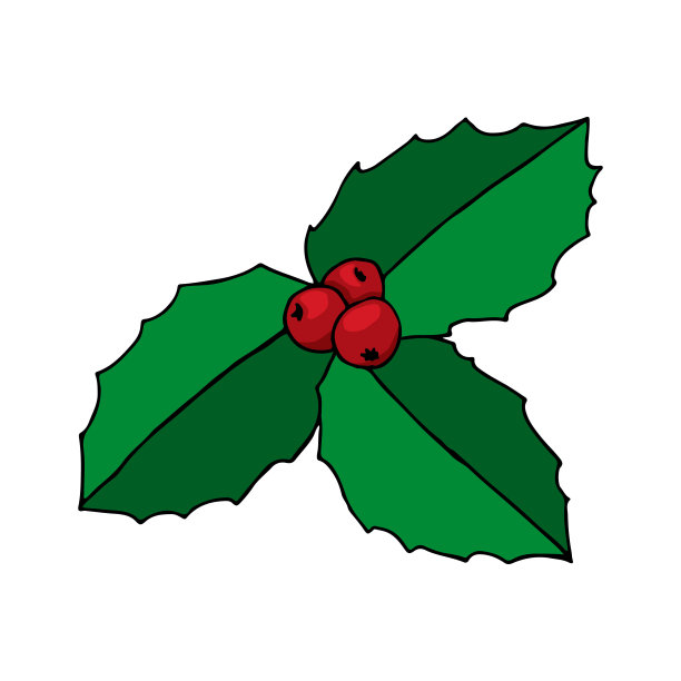 冬青、红色浆果。圣诞装饰品。手绘草图。孤立在白色背景上。图片下载