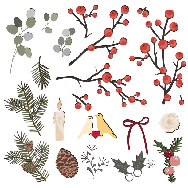 手绘矢量草药与松枝和球果，鸟，桉树，和浆果集。圣诞节的设计元素图片下载