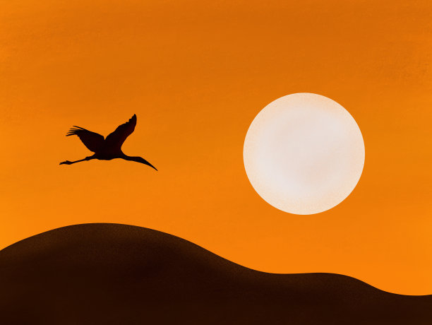 日落时鹳的剪影图片下载