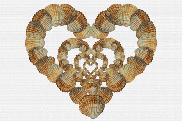 用贝壳做的心形装饰图片下载
