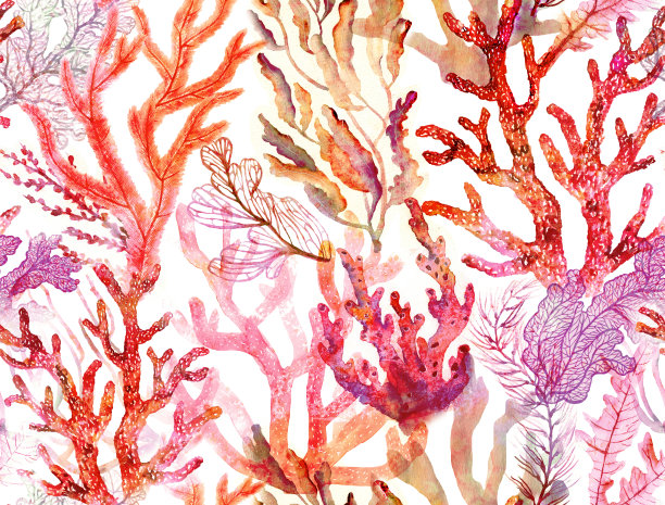 水彩珊瑚。无缝模式与水下世界图片下载