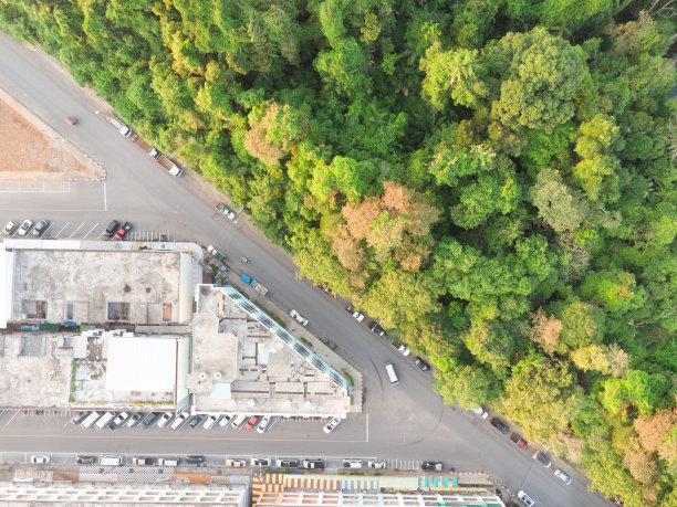 市中心自然公园旁交通道路及建筑鸟瞰图。风景优美的城市景观建筑和树木从无人机图片下载