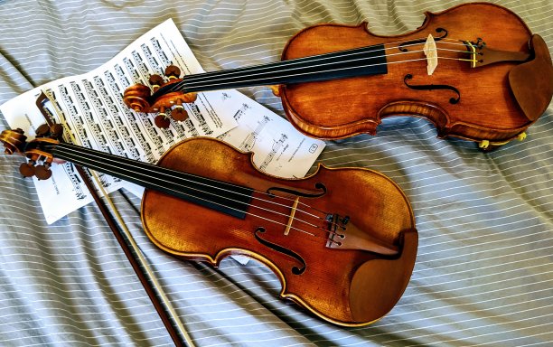 两个小提琴图片下载