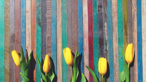框架由郁金香和木制条纹背景图片下载