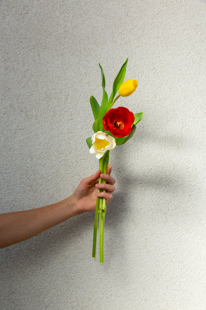 白色背景上的郁金香花束图片下载