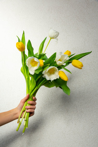 白色背景上的郁金香花束图片下载