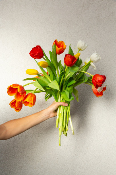 白色背景上的郁金香花束图片下载