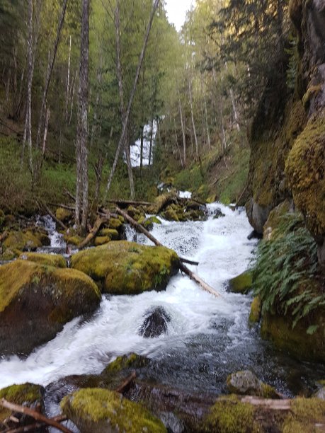 不列颠哥伦比亚的河流图片下载