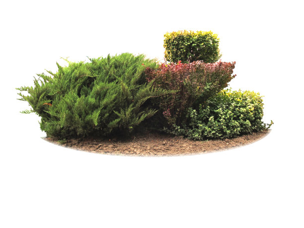 花圃装饰孤立图片下载