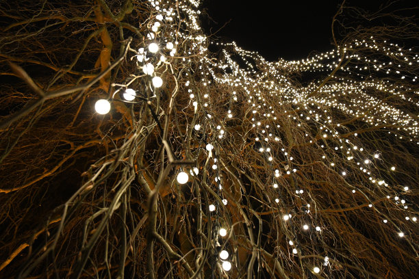 12月德国柏林圣诞花园中模糊的灯光装饰。这张照片是在圣诞树的树枝下拍摄的，圣诞树上装饰着圣诞彩灯和花环。黑暗中的冬日节日灯光图片下载