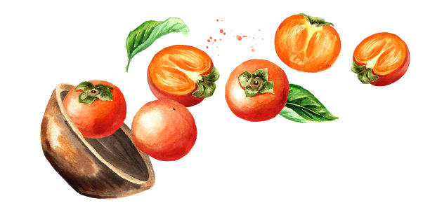 一碗熟柿子。手绘水平水彩插图，孤立在白色的背景图片下载