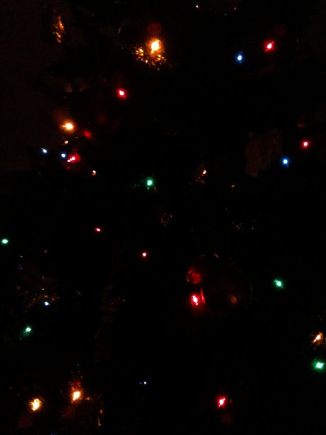 圣诞树上的圣诞彩灯图片下载