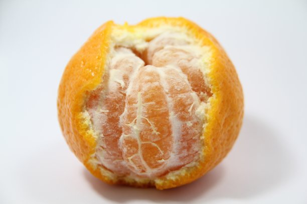 白底上的鲜切橘子图片下载