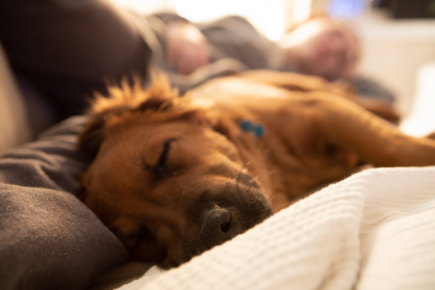 沉睡的时间图片下载