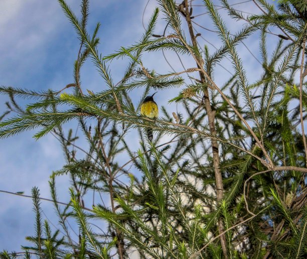 可爱的一天图片下载