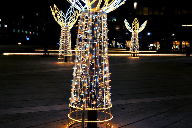 圣诞彩灯与街道上的反光照片图片下载