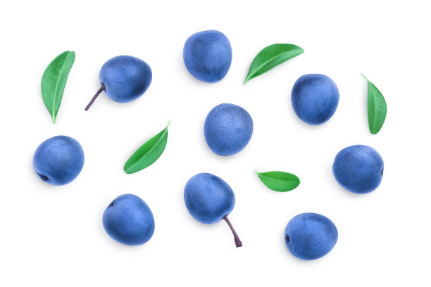 黑刺李或黑刺李浆果，叶子孤立在白色背景上。李属spinosa。前视图。平躺图片下载