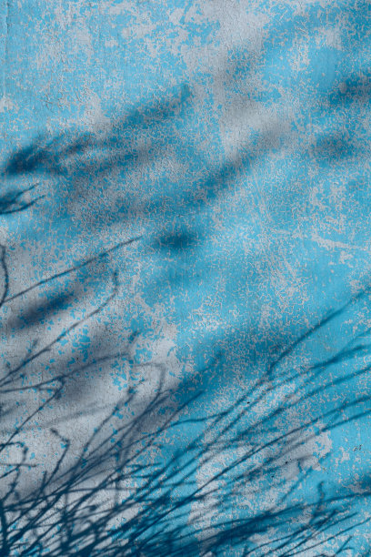 顶视图的叶子阴影在经典的蓝色木墙作为背景。平的。最小的夏季概念与草叶。图片下载