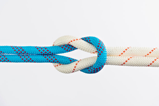 珊瑚礁结在白色的背景图片下载