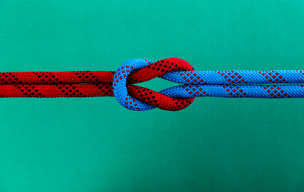 绿色背景上的礁结图片下载