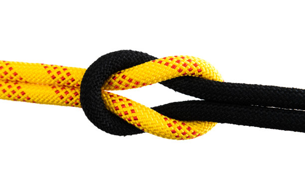 珊瑚礁结在白色的背景图片下载