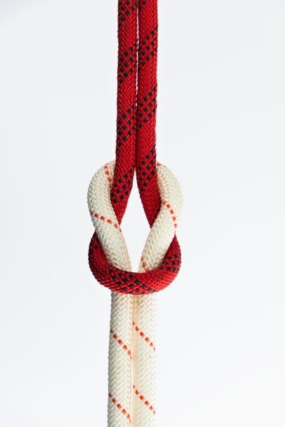 珊瑚礁结在白色的背景图片下载