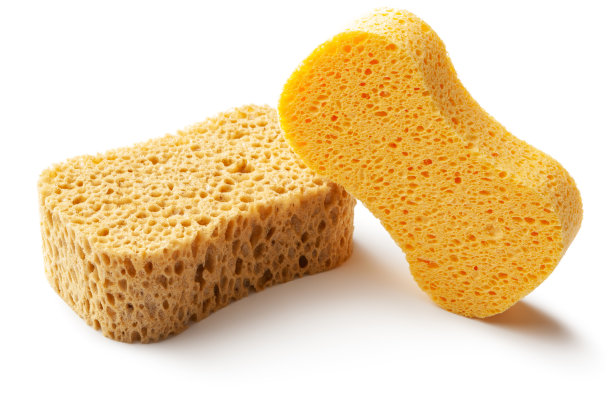 清洗:在白色背景上分离海绵图片下载