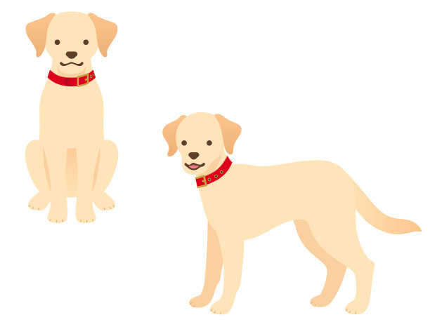 两只红色项圈的狗的插画(坐在前面，站着)图片下载