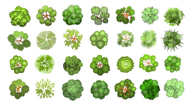 一套彩色手绘风格化俯视图秋天的树木和植物。图形，孤立在白色，矢量。图片下载