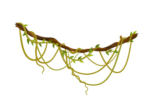 藤本植物或丛林植物或藤本野生绿色植物弯曲的树枝，矢量茎与叶子孤立的装饰元素，热带藤本，雨林植物和外来植物野生卷曲物种和小枝图片下载