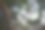 一棵没有叶子的白色树上的男性头发照片图片下载